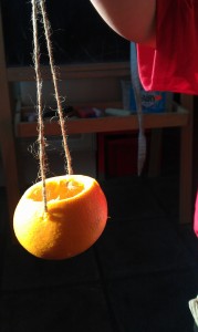 orange bird feeder