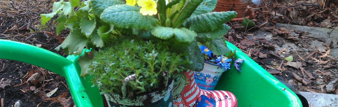 wellie pots