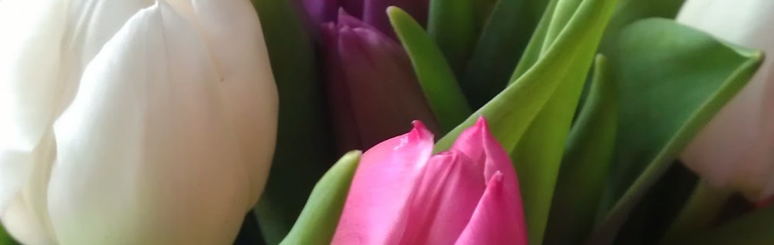 Mother's Day Tulips